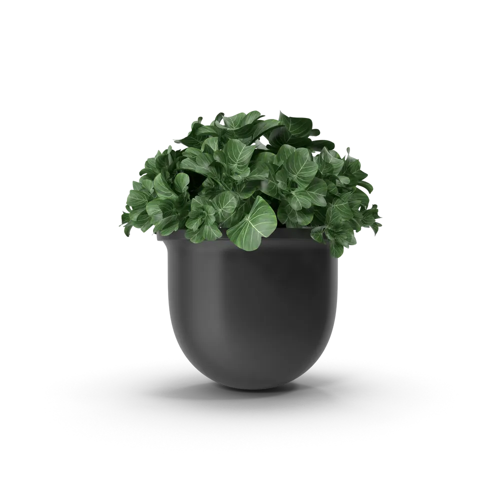 Plant Pot - Image 2